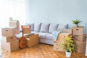 Mastering The Art Of House Shifting: Tips And Tricks For A Smooth Transition